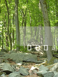 還唄沒逾期怎么還款？全圖解析！
